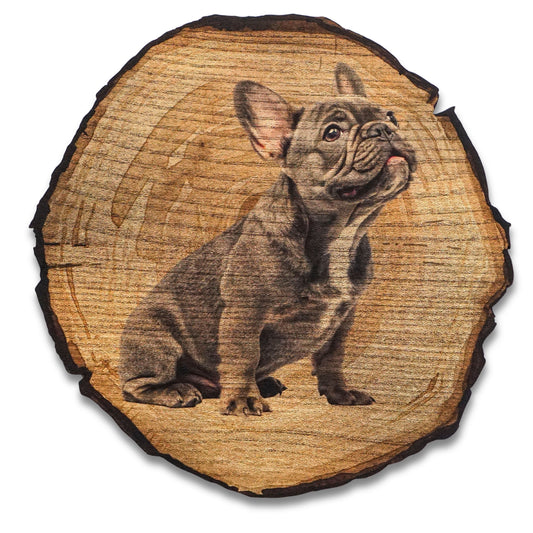 Wandbild Holzoptik Bulldogge