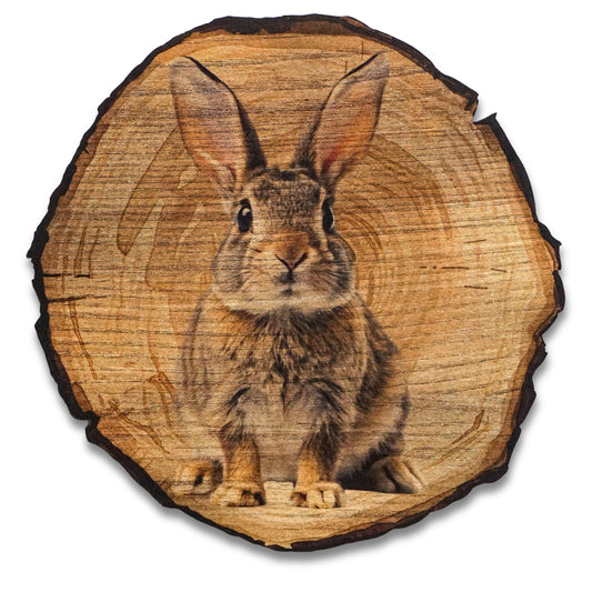 Wandbild Holzoptik Hase